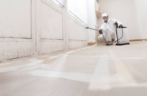 24/7 Emergency Mold Remediation experts in Naperville, IL