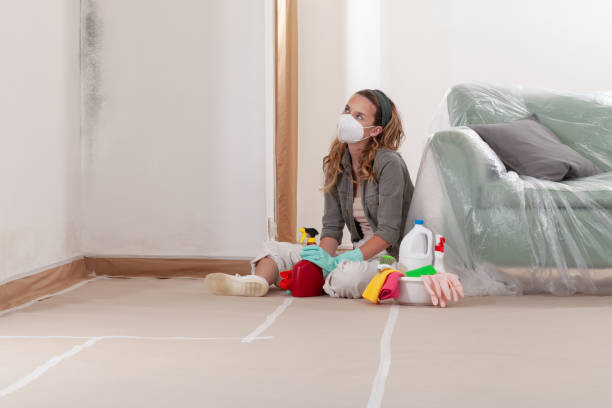 Reliable Mold Remediation contractor in Naperville, IL by 24 Hour Mold Removal
